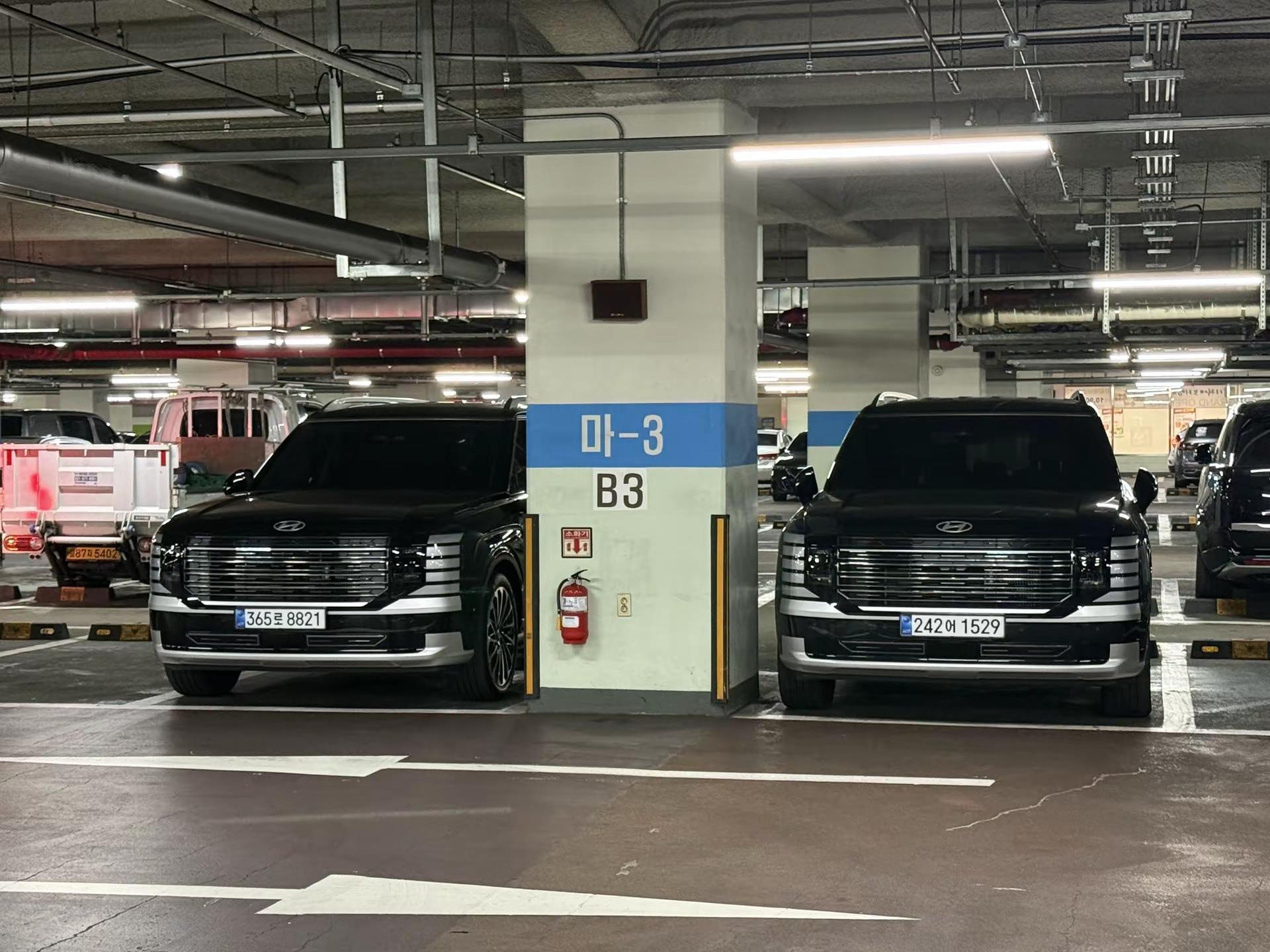 两台帕里斯帝同框，气场拉满！韩系大SUV 两台全新帕里斯帝停一起，看看有什么不同！大哥最后出场了dou是好车 撸车日常 帕里斯帝