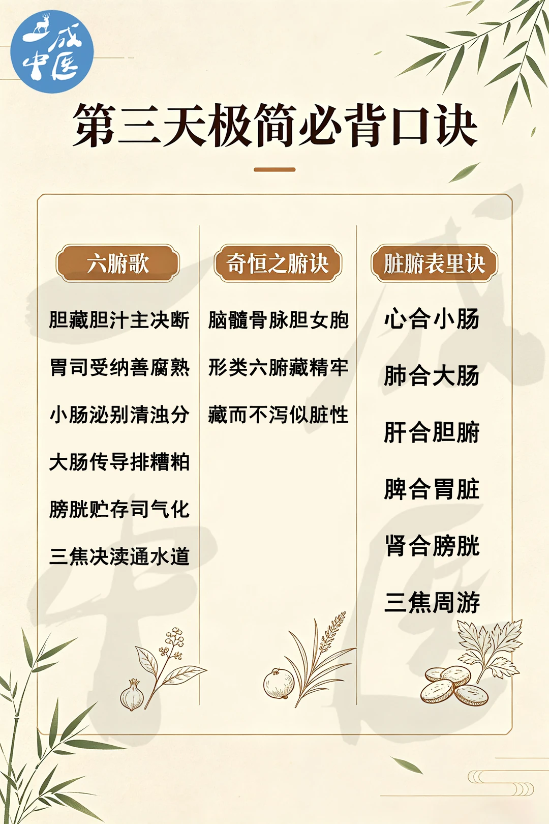 中医师承全职第三天学习内容总结