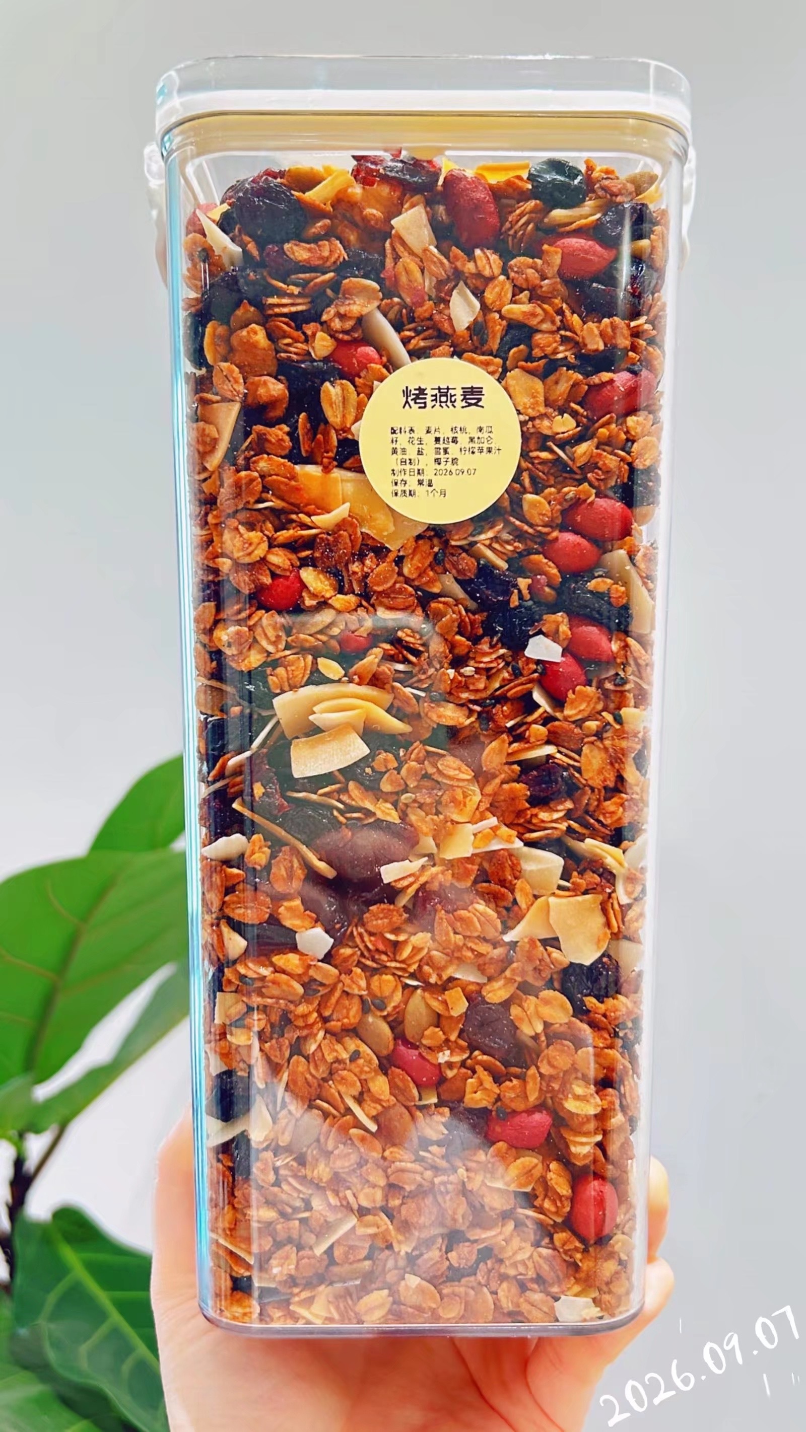 燕麦已经开始烤了，今天用的是黑燕（图3酸奶杯，有1瓶现货可以发）