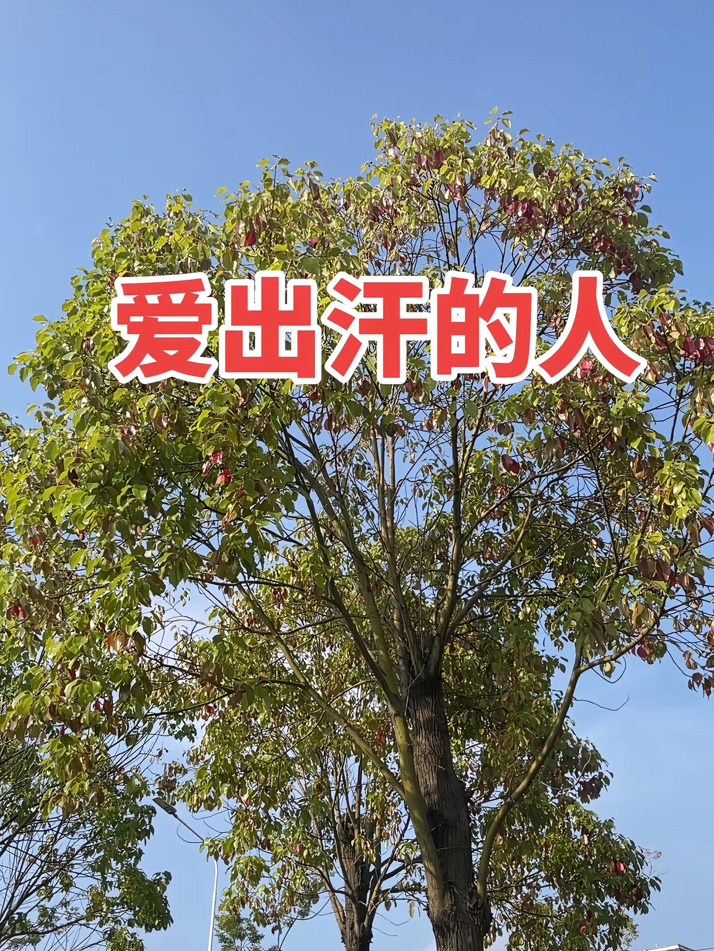 马刺还是太年轻了，关键失误&amp;绝杀不中，马刺主场再负尼克斯  