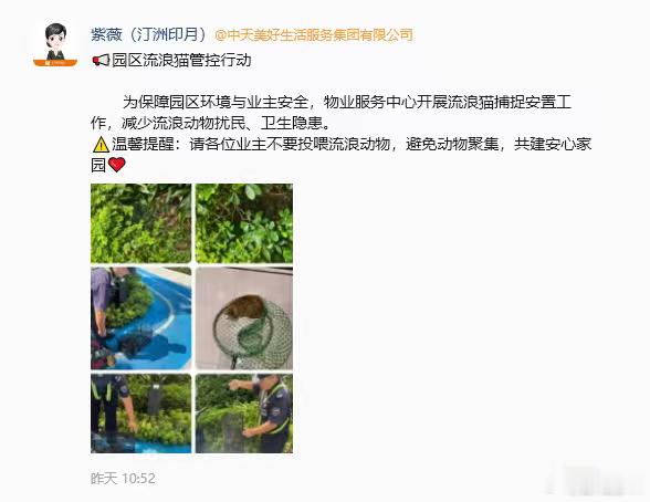 被抓的这两只猫是我小区基本上看到就会投喂的最乖最信任人的猫，也恰好是这样所以被抓了。小区乱放垃圾解决不了，电动车上楼解决不了，电梯里抽烟解决不了，高空抛物解决不了，流浪猫他们觉得这样就解决了👏厉害👍人有时候确实是“高等生物”全称：高傲的动物。不过欺软怕硬，趋利避害罢了 ​