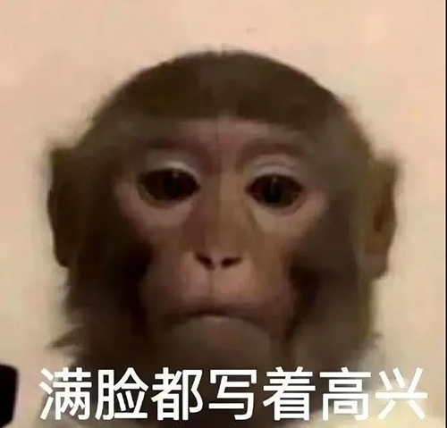 近期爱用的表情包
