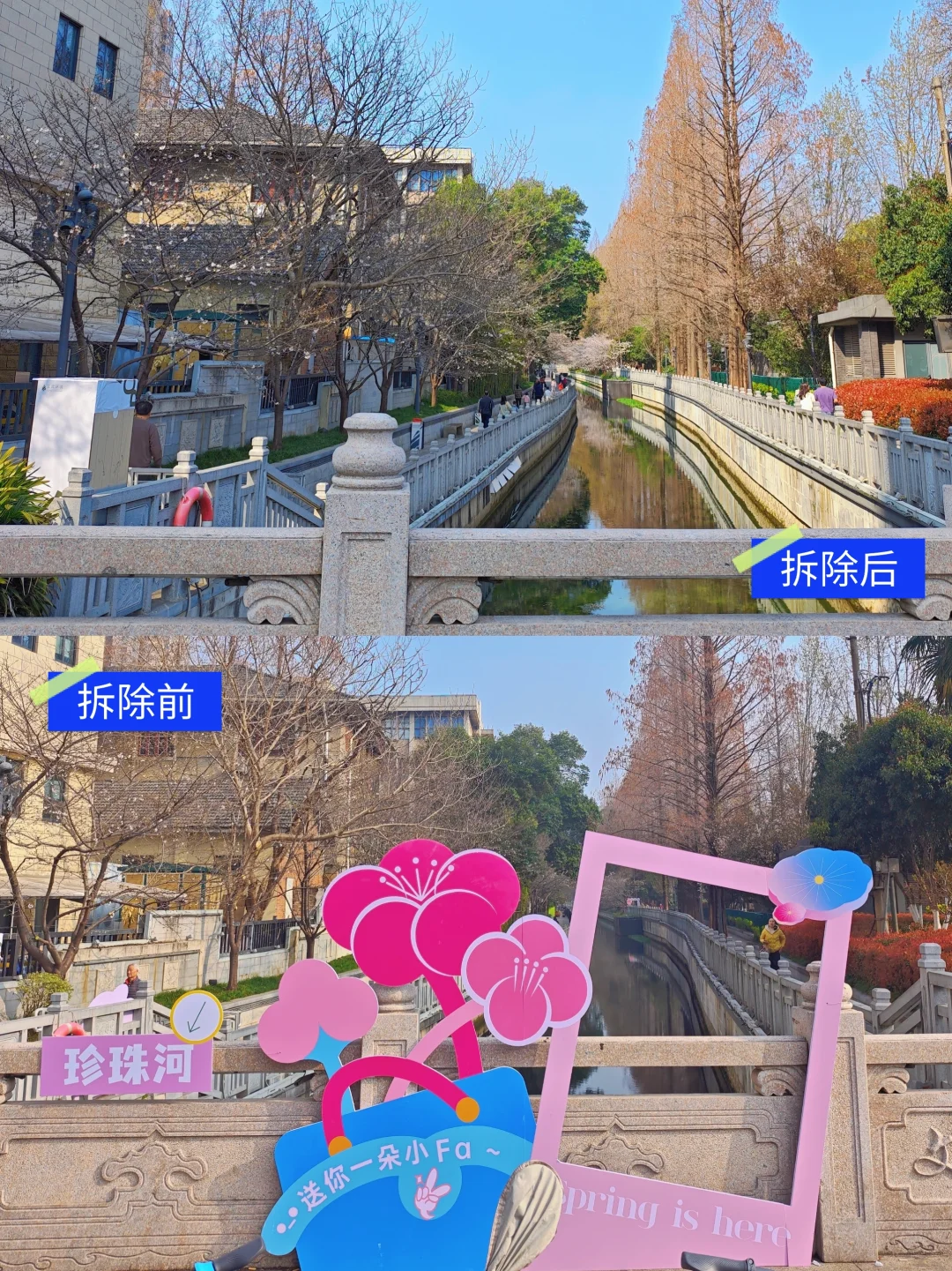 主打听劝！南京珍珠河花框全面拆除啦