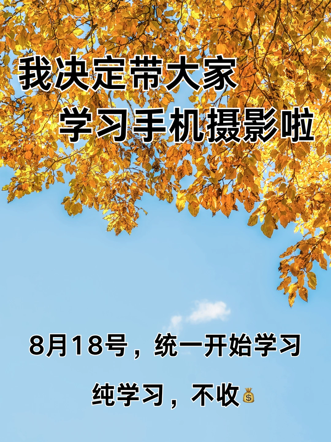 我决定带大家学习手机摄影啦！！