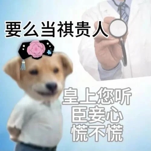 好癫的表情包，好用爱用一直用！