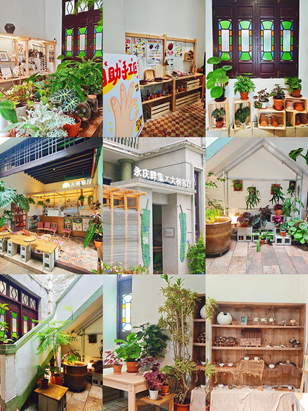 永庆坊大树客厅｜绿植的咖啡店！好chill✅