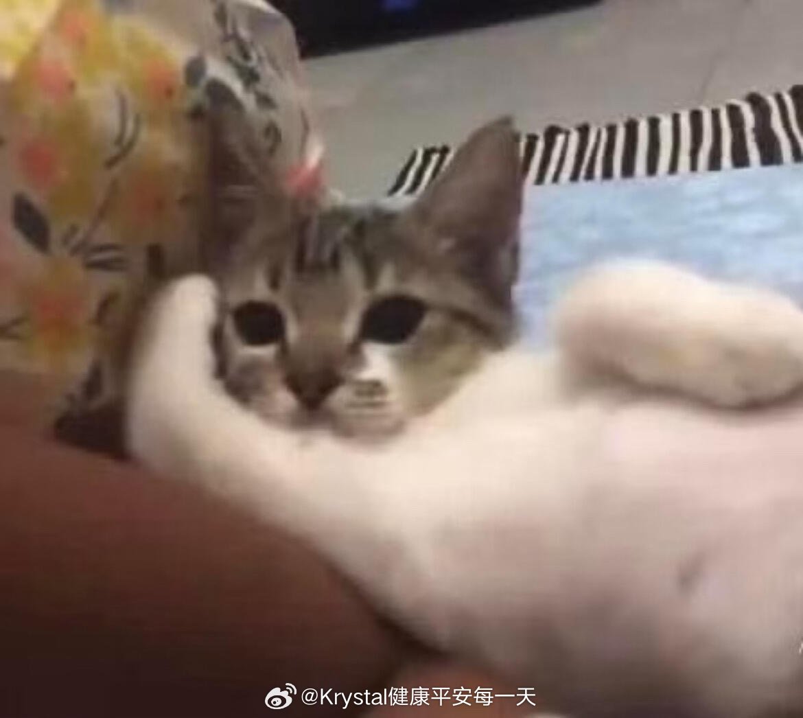 精英小伙眨巴着小狗眼对E人学弟说：“我买了特斯拉毛豆Y”的那个瞬间
同乘一部电梯的我恨不得马上精通音律献唱一首林俊杰的“alwaysonline”假装我只是一首BGM不会打扰这命运般的相遇 ​