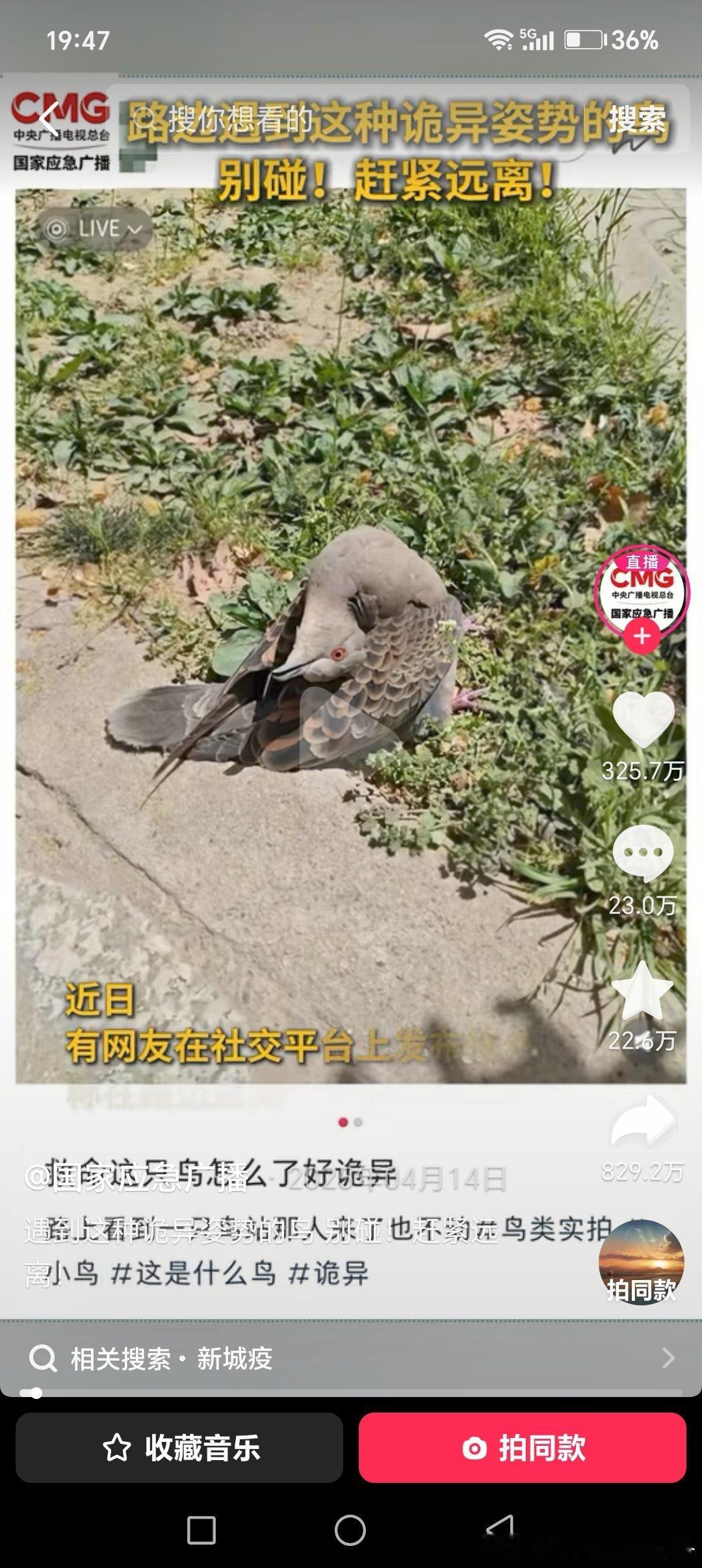 了解内容
   外jiaobu吴（衣服叛变了）中+国+应里面→里面有“余”→（打吴旗号 吴是谦）→国应广波里面→杨敏（白色的）
   造谣微博汇报的问题 ​