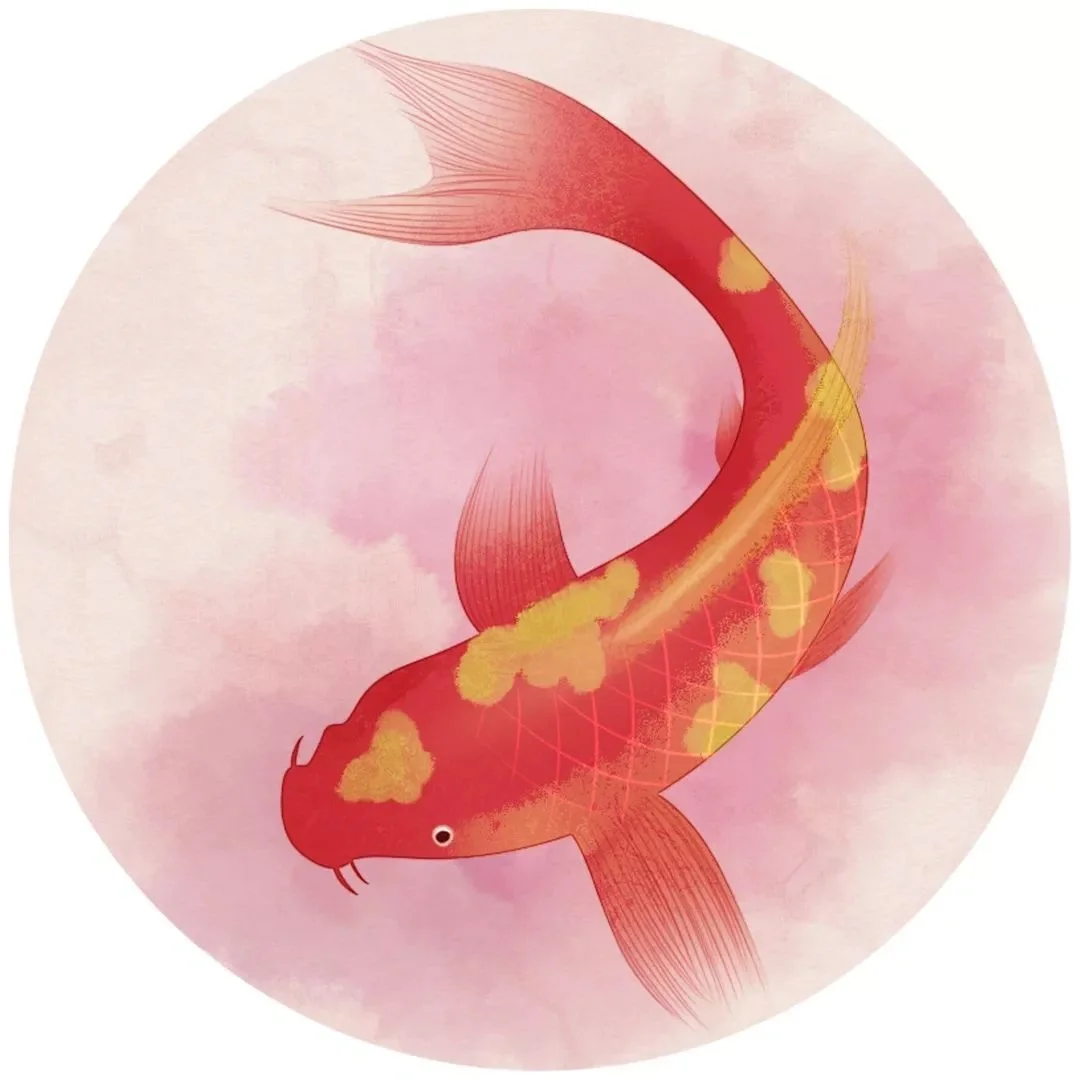 从未成为锦鲤