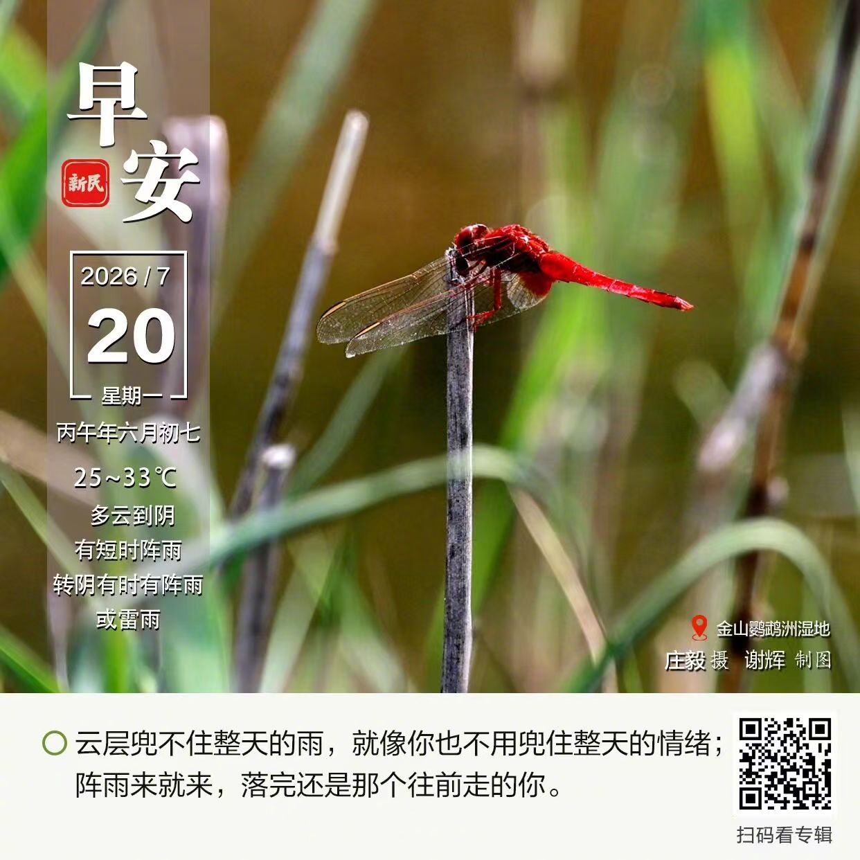 【局部暴雨今日继续，注意安全！依旧当打之年，马龙、许昕夺冠；通勤之路有...
