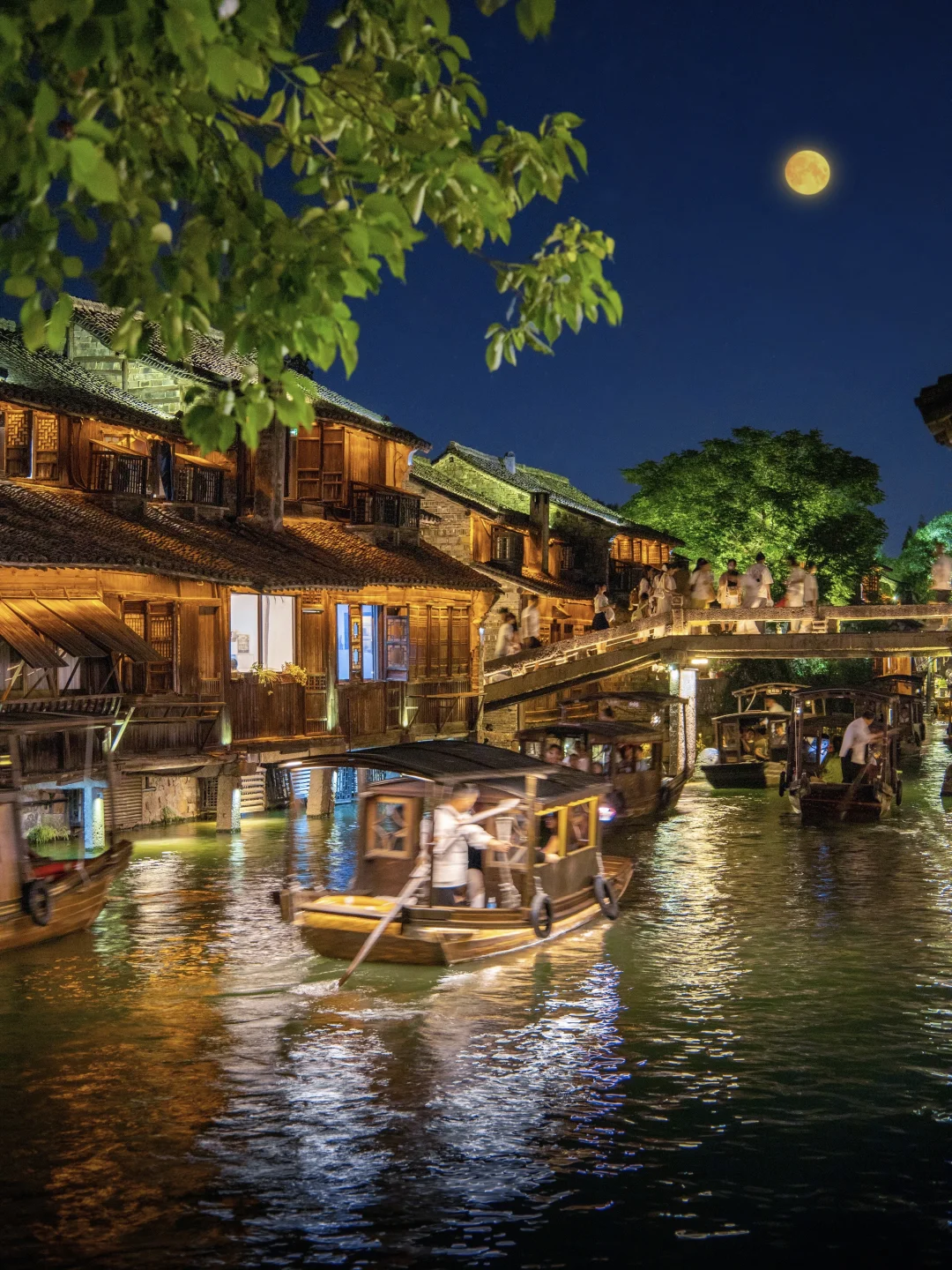 我宣布‼️夜游才是打开乌镇夏天的正确方式🍃