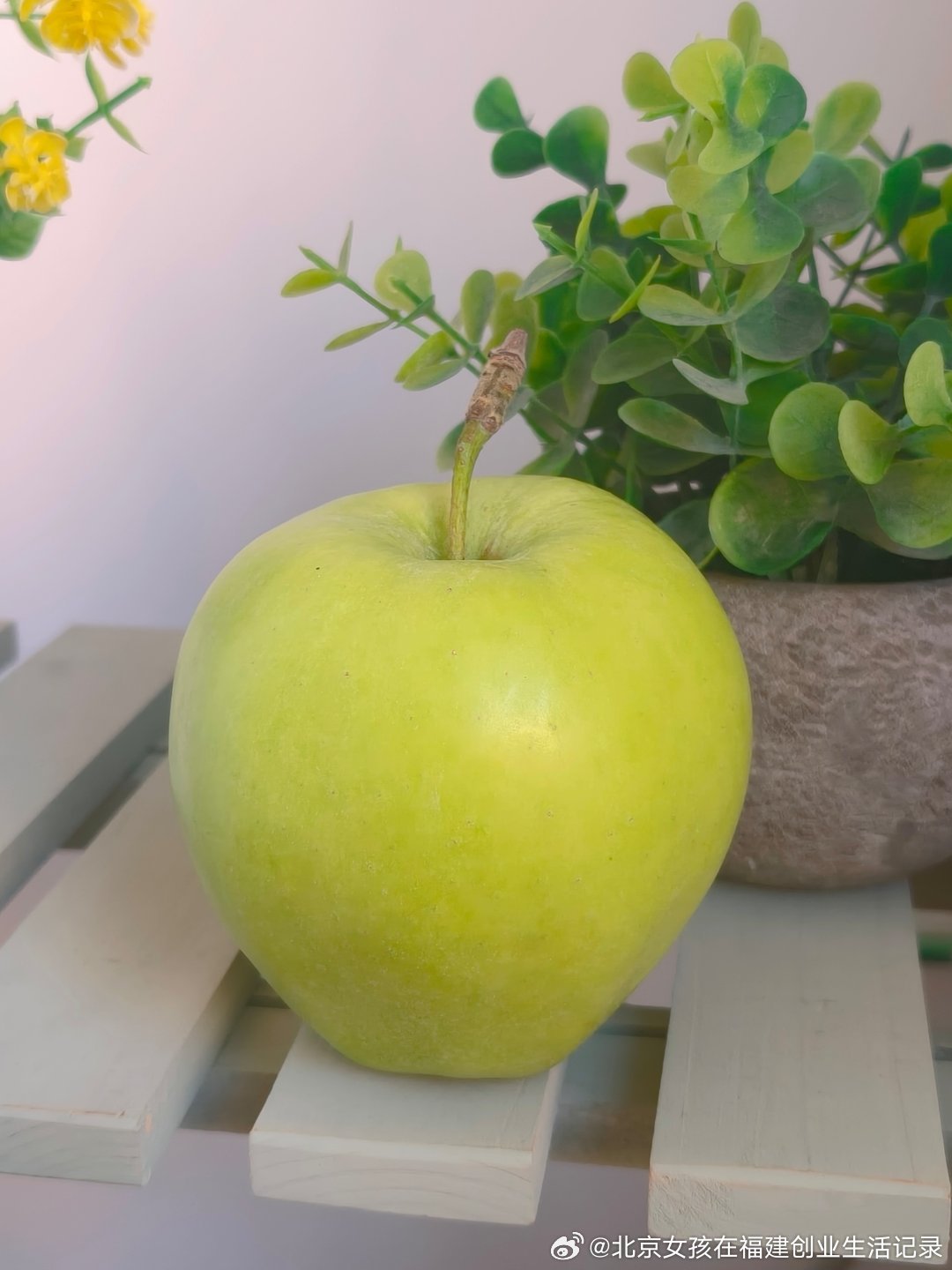很标志的青苹果🍏 ​