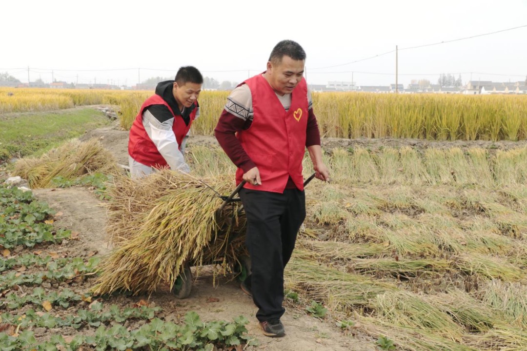 .小女孩的伙伴帮助抢收秋粮感人的一幕

前言
 
谁能想到，最动人的秋日温情，藏在乡村普通的晒谷场上！近日一段乡村秋收短视频刷屏各大平台，热度居高不下。年仅五岁的小女孩，看到稻谷怕被雨淋，急得大哭蹲地抢收。周边玩耍的小伙伴看到这一幕，全部飞奔赶来帮忙。纯粹的童真和善良，看哭数百万网友。
