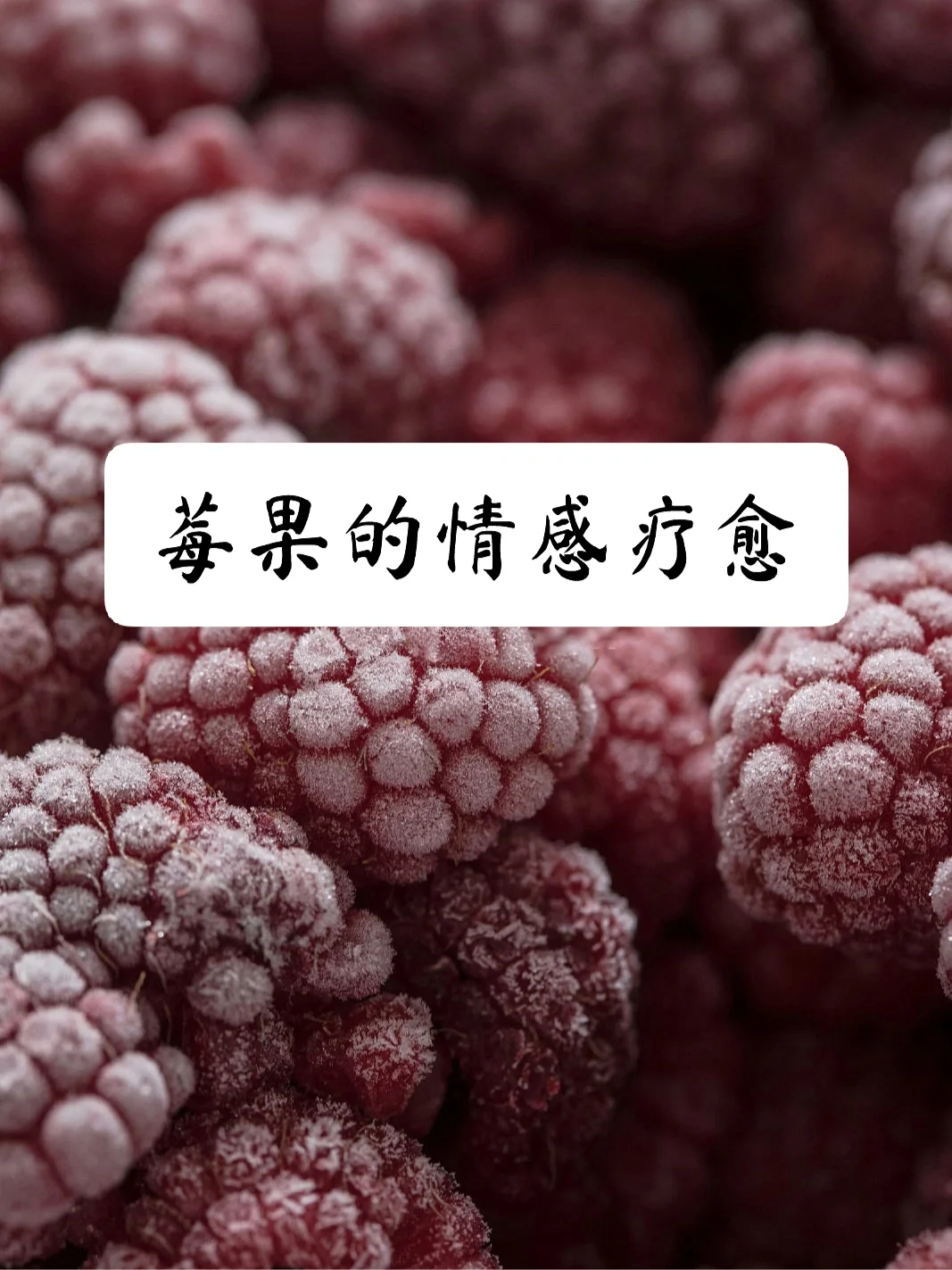 善良与奉献的能量——莓果🫐