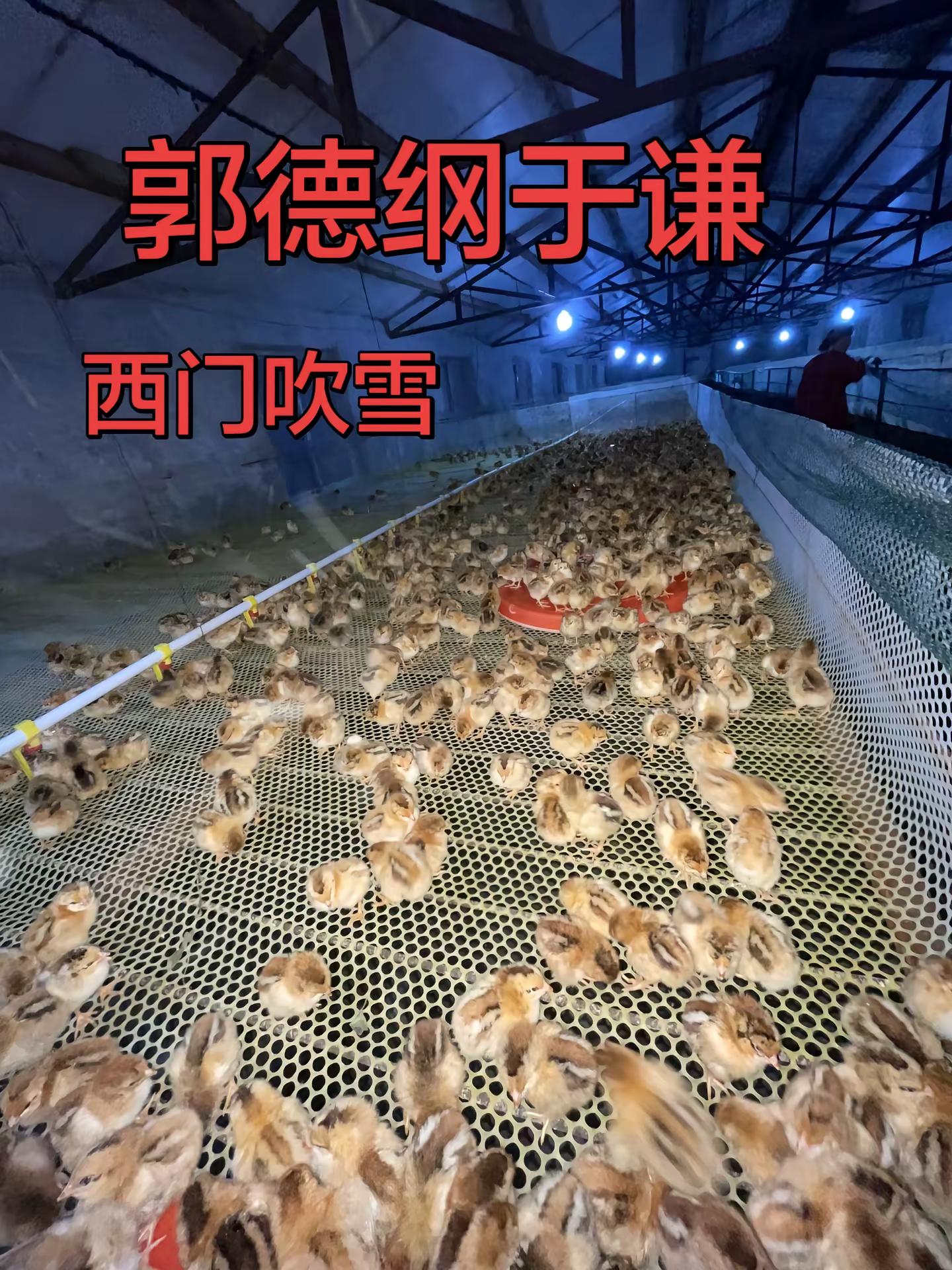 德云社郭德纲于谦早期相声作品🌹🌹。郭德纲 于谦 郭德纲于谦 于谦捧一切