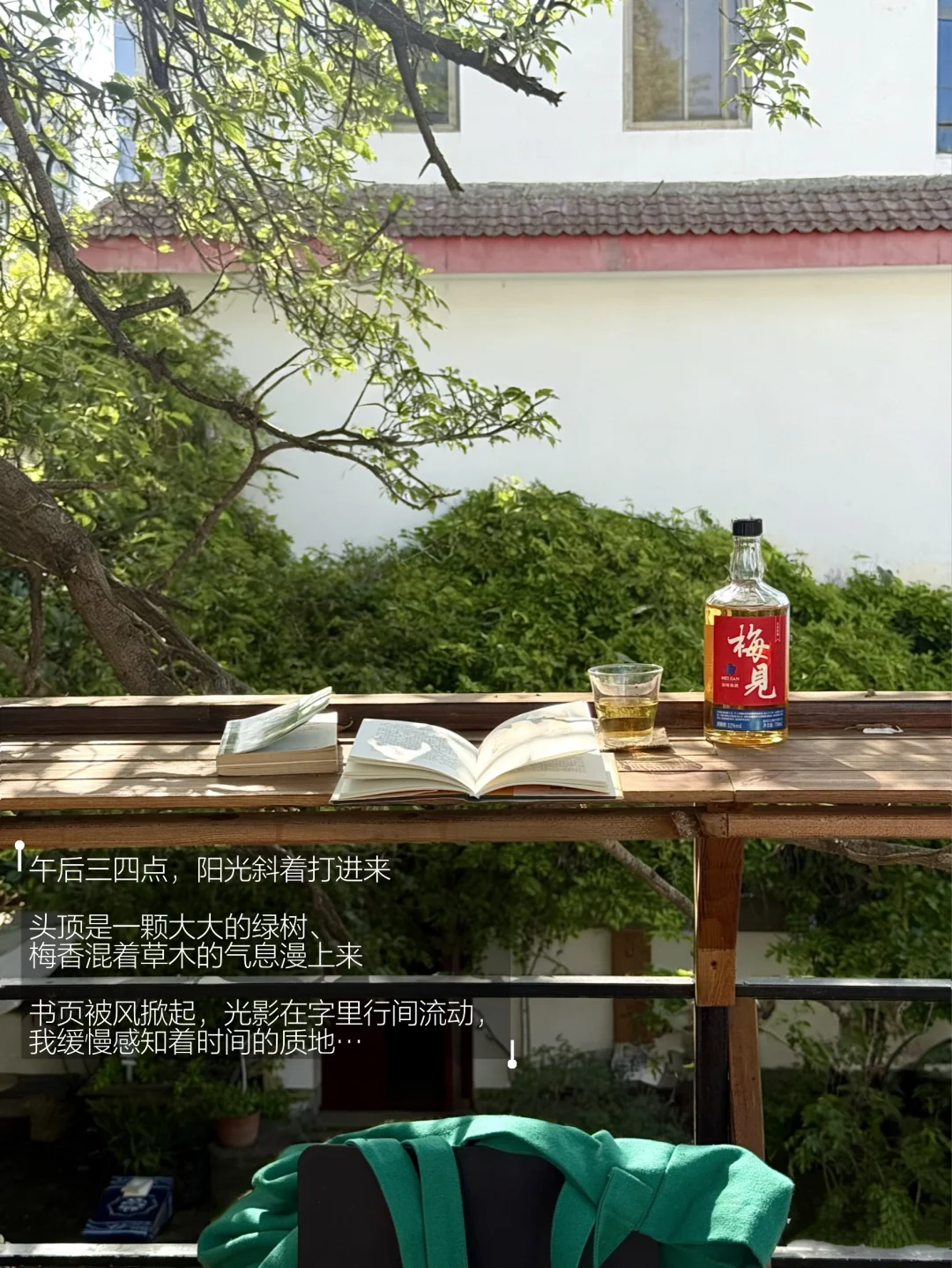 倘若人生有无数个这样的下午。
