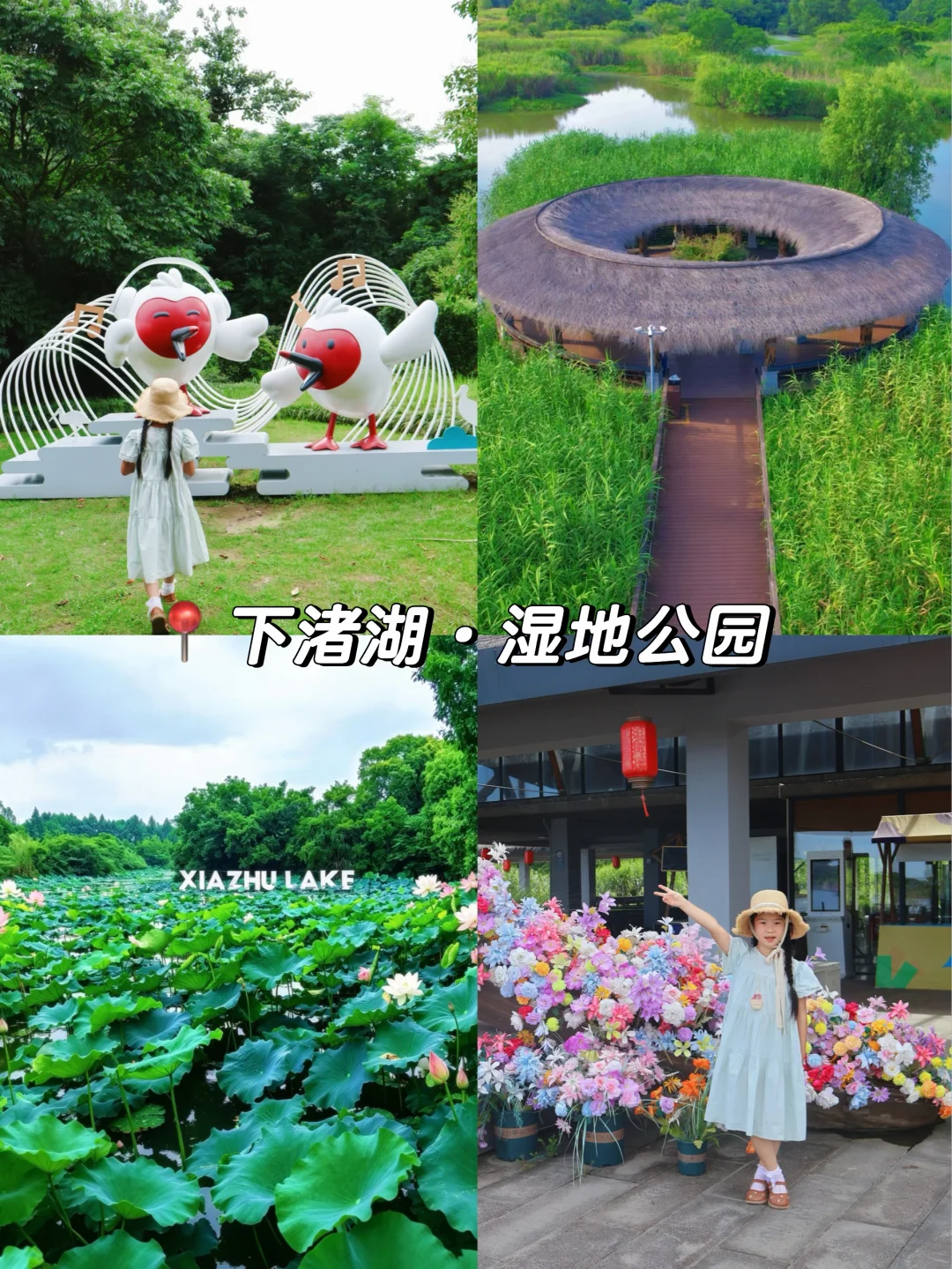 德清遛娃🪷下渚湖湿地一日游，赏花观鸟 科普