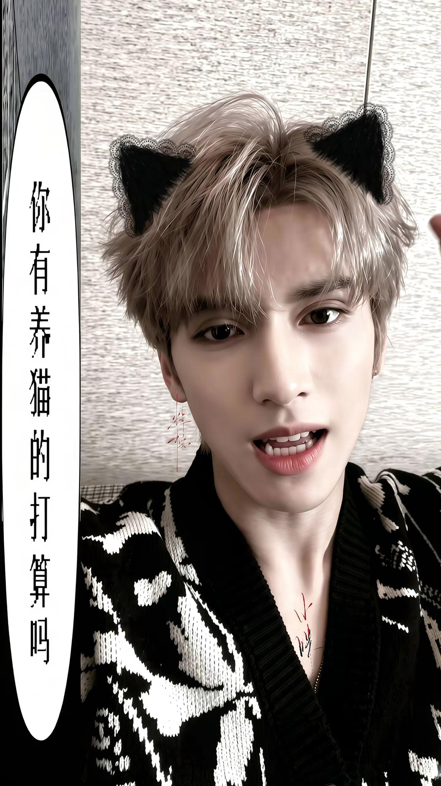 你有养猫的打算吗。