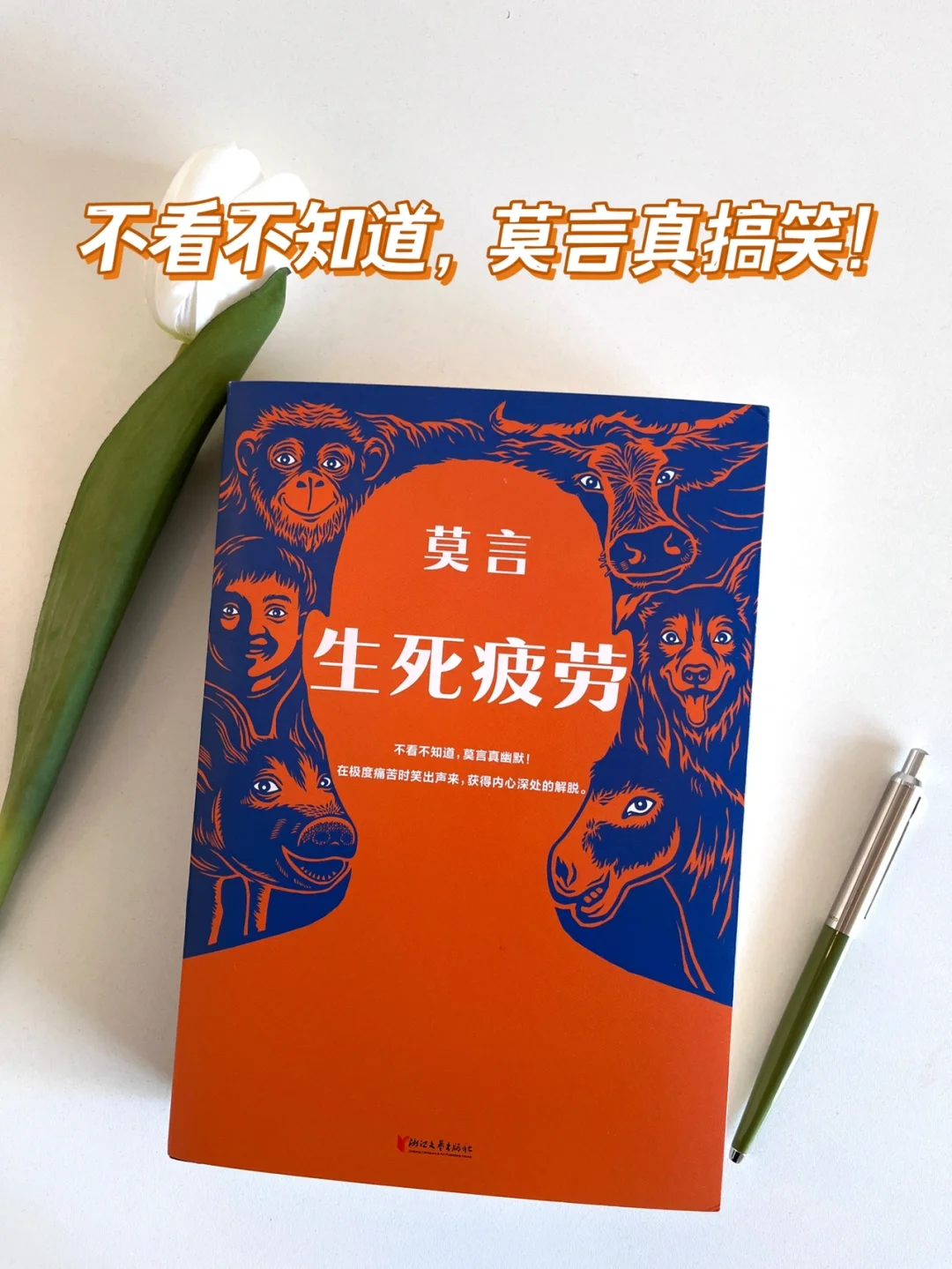 豆瓣9.2，颠覆你对莫言，对诺奖作品的认知！