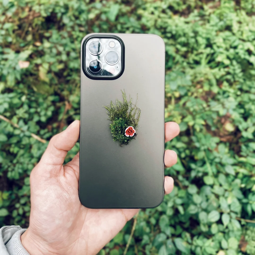 十年骨灰果粉的iPhone12Promax体验报告