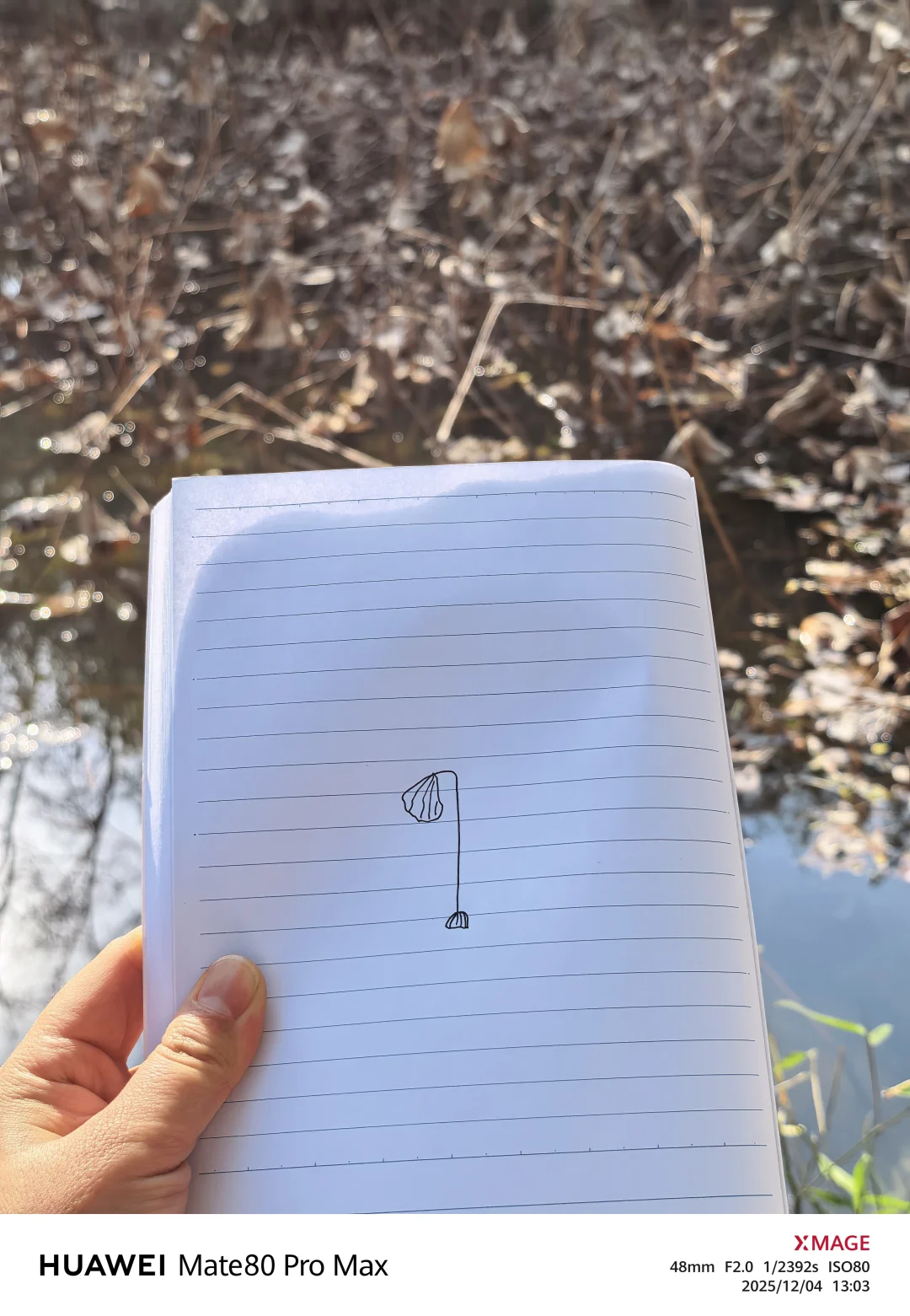 西安天气好，来公园写生