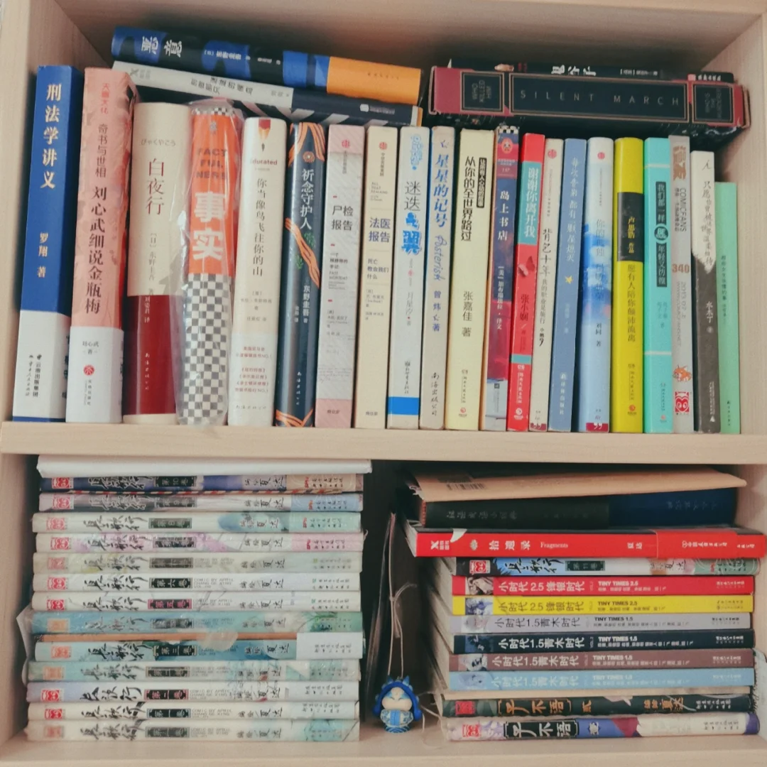 我想做一个，能在你书架上摆满书的人