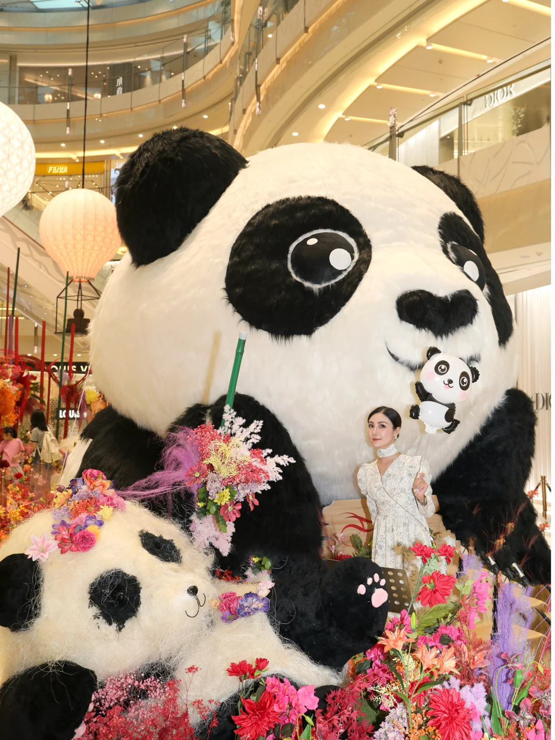 谁懂这种被熊猫包围的幸福呀🐼