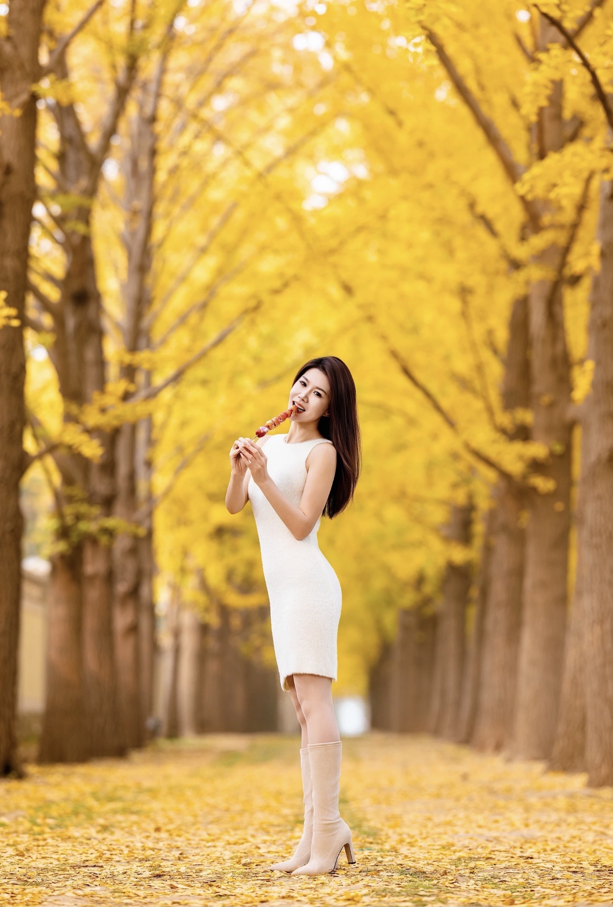 落叶纷飞，优雅白裙，唯美时光。