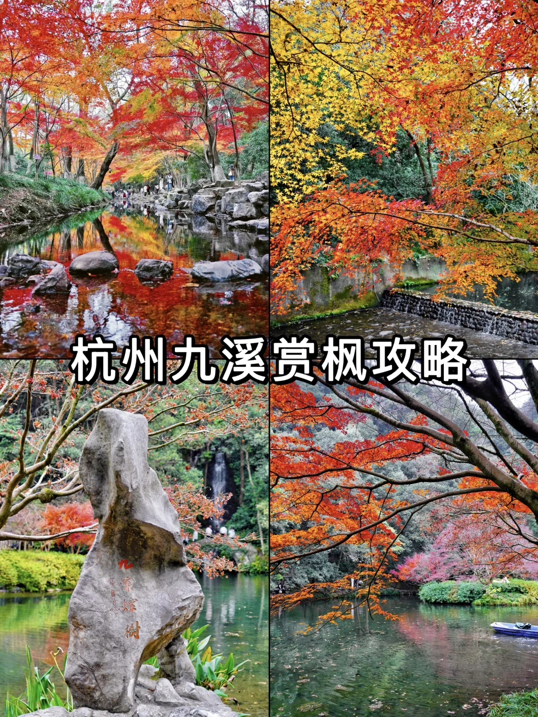 杭州秋天必去❗️九溪赏枫攻略！🍁
