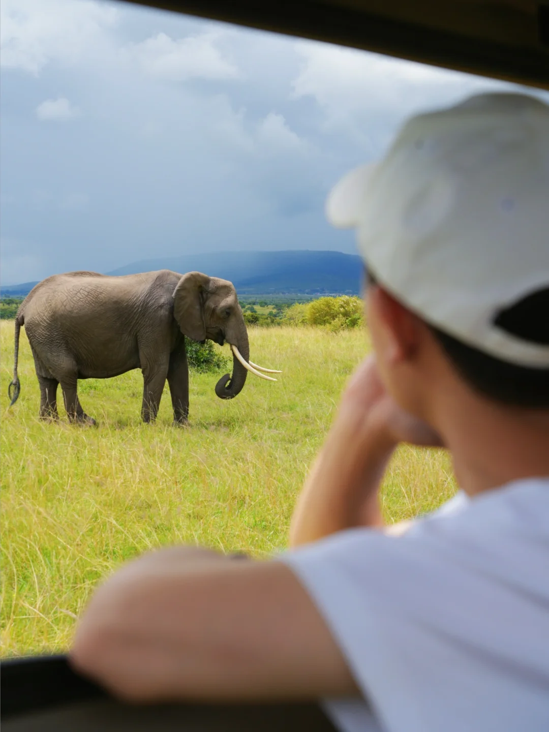 live🐘终于明白为什么一生一定要去一次非洲