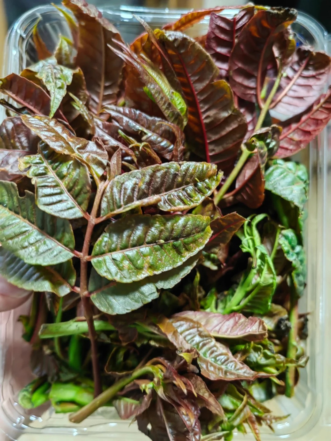 ～炒鸡蛋（初春的味道）