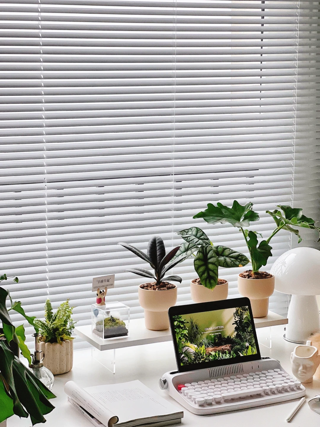 小绿植让我的靠窗书桌充满了春天气息