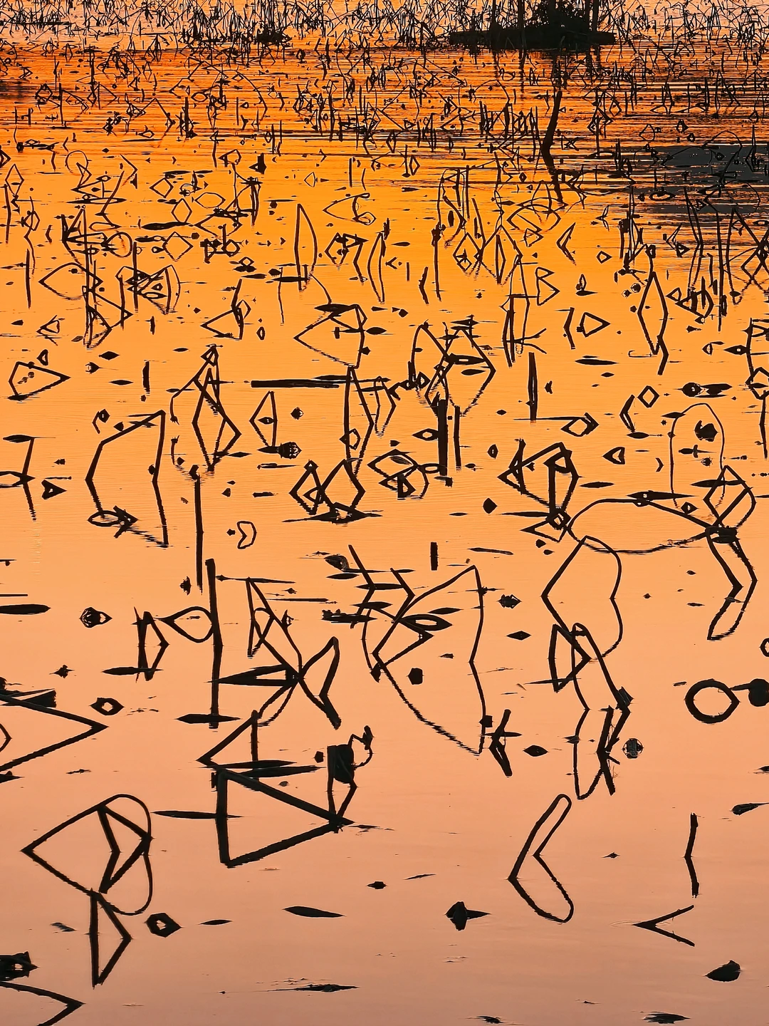 曾经被网暴过的一张画。。。。。