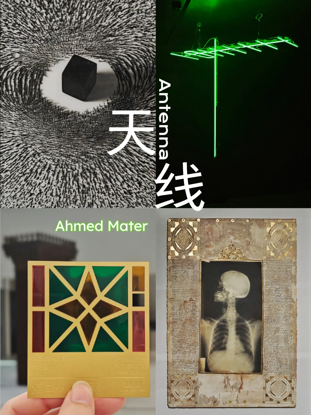 给你一个真实的沙特｜从医学影像到沙漠史诗