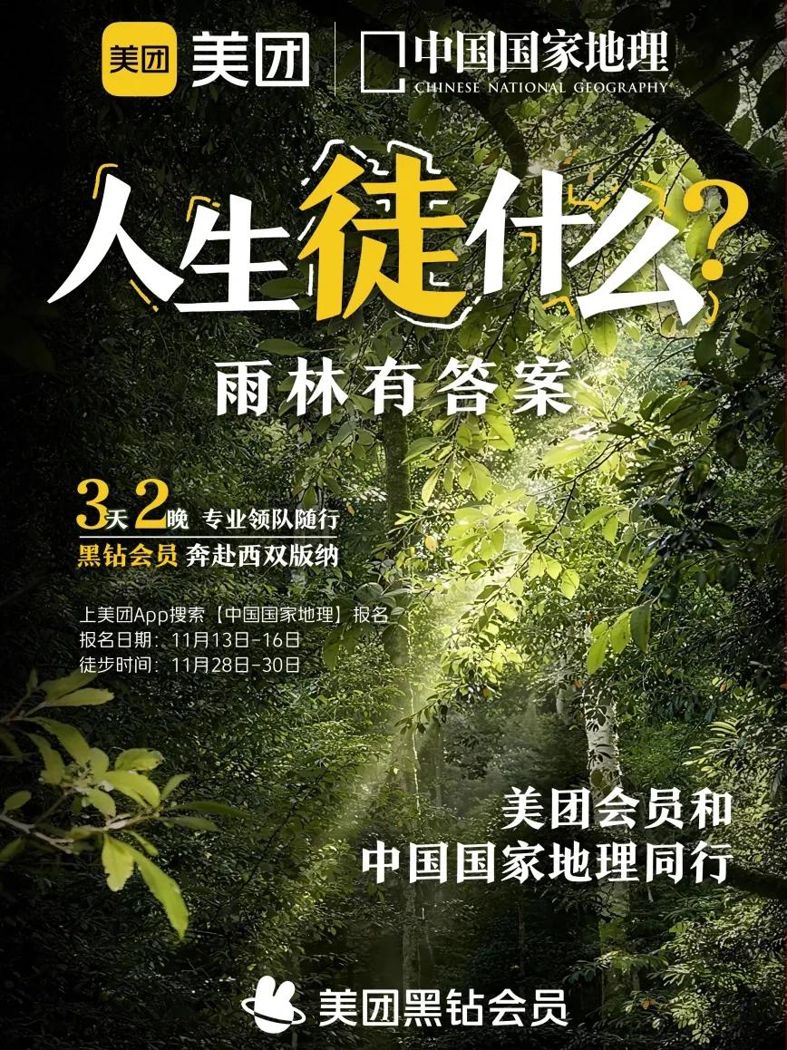 这样的版纳雨林徒步谁看了不心动啊！