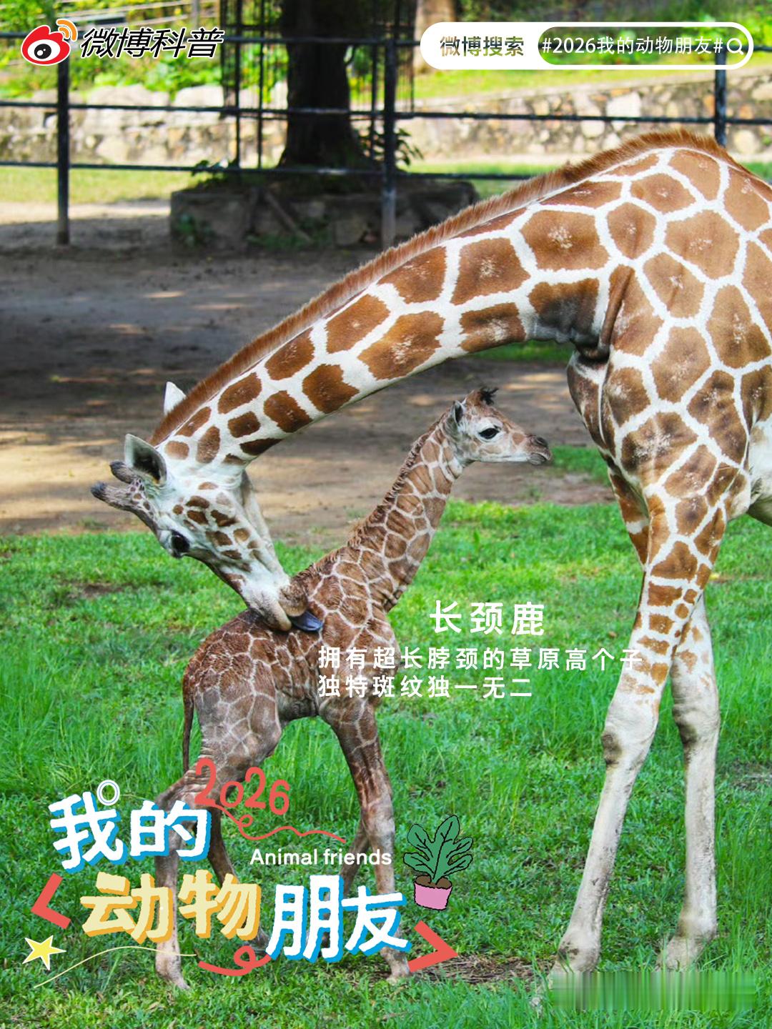 宝藏精选第四十九期立足本地，守护万物；镜头为笔，记录生灵。每一次相遇都...