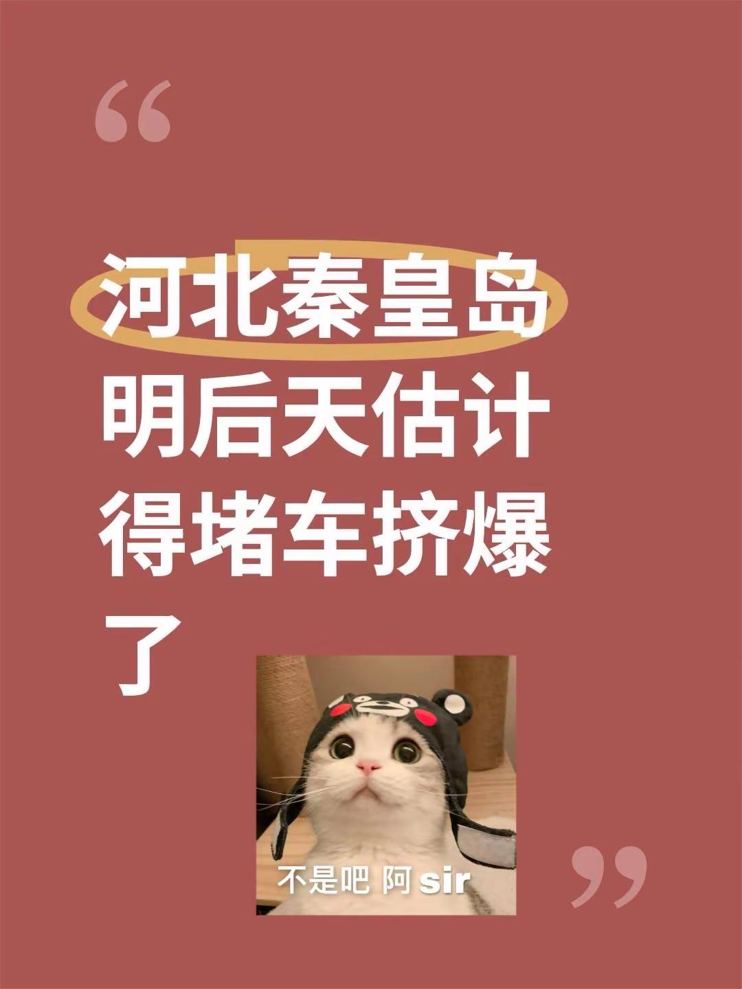 秦皇岛这周估计要挤爆了