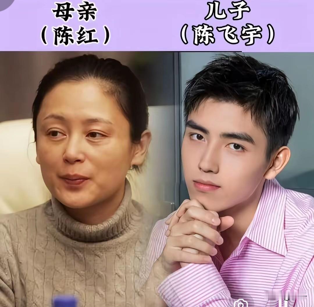 基因真的很奇妙✨娱乐圈这些明星母子，有的长相几乎是复刻版，眉眼轮廓高度重合；有的细看五官不一样，但一颦一笑的神态，藏着妈妈的影子。
 
陈红和陈飞宇，便是很直观的例子。陈红当年是惊艳时光的古典美人，端庄又明艳，这份出众的颜值基因，完美传给了儿子。陈飞宇眉眼清俊，优越的五官轮廓，能一眼看到母亲的美人底
