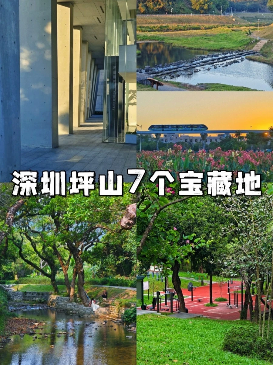 深圳坪山 | 很喜欢去的7个宝藏地🌟