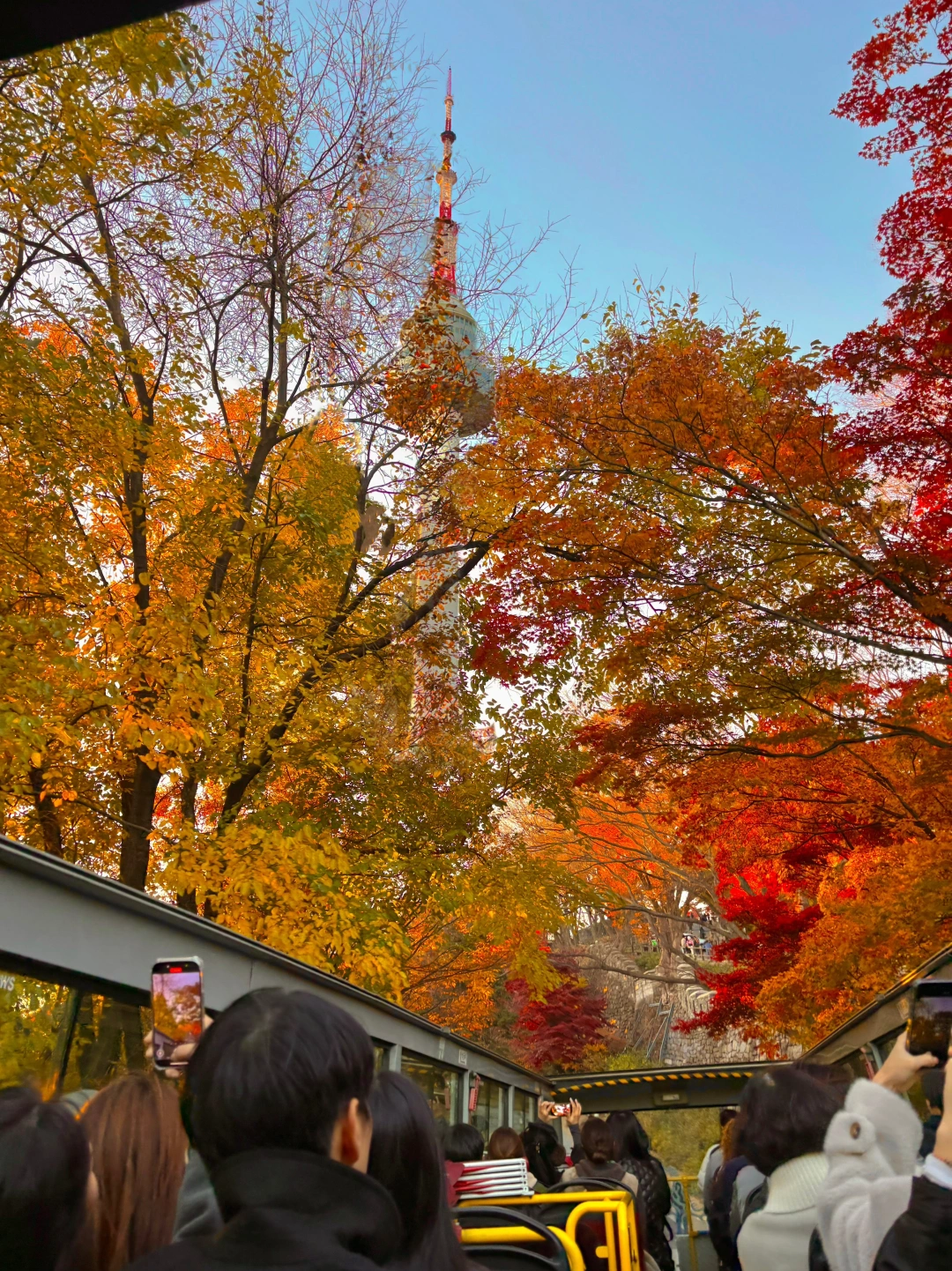 人生建议：来首尔一定要做一次秋日巴士🚌