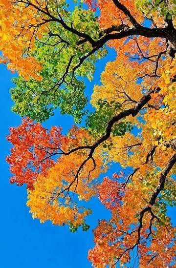 查理·芒格：如何从失败中提取智慧？<br /><br />我活了将近一...