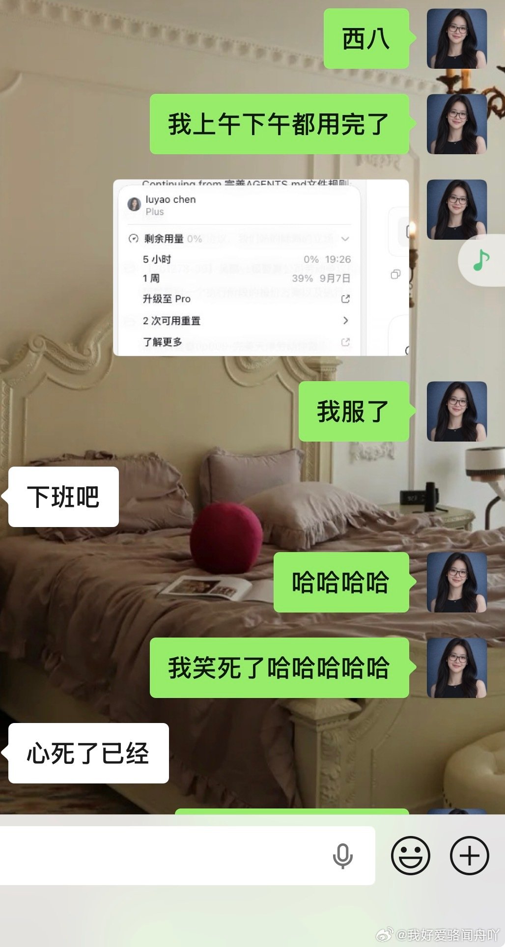 我们就这样依赖codex ​