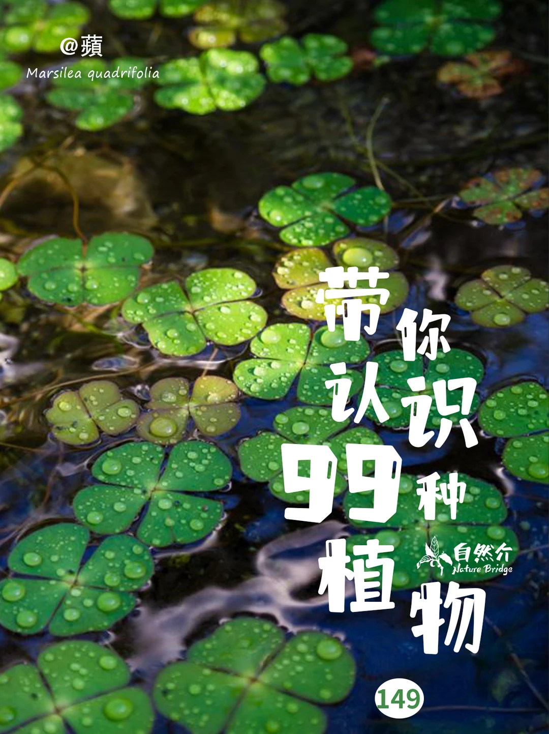 带你认识99种植物