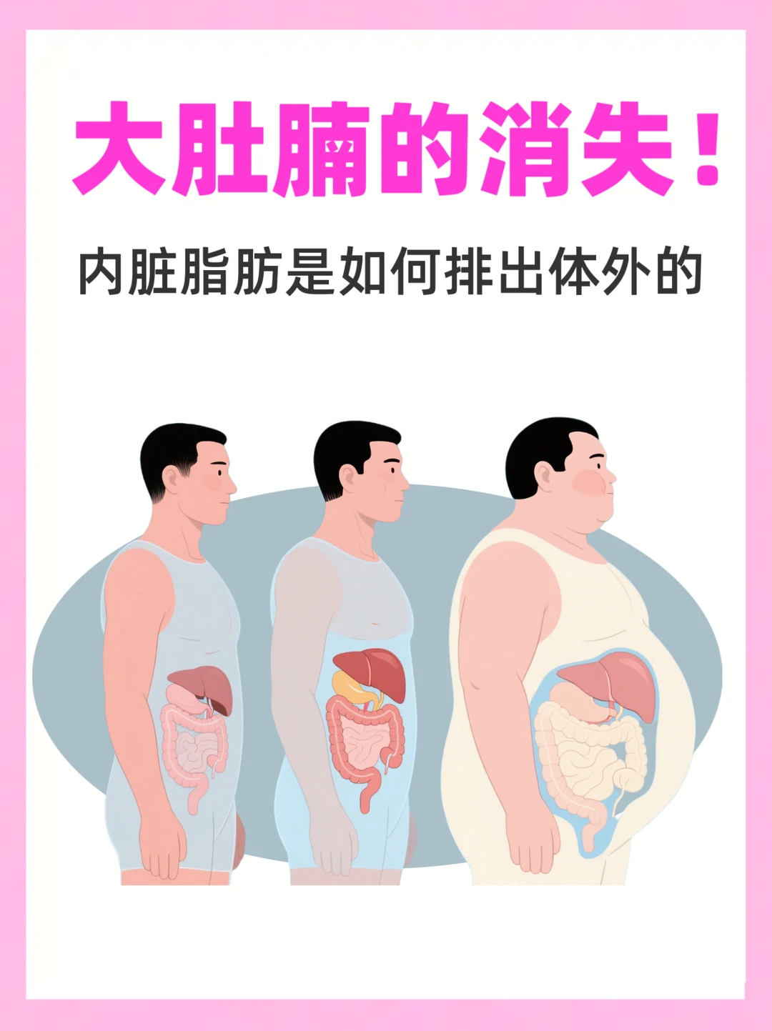 【科普】正确甩掉内脏脂肪！