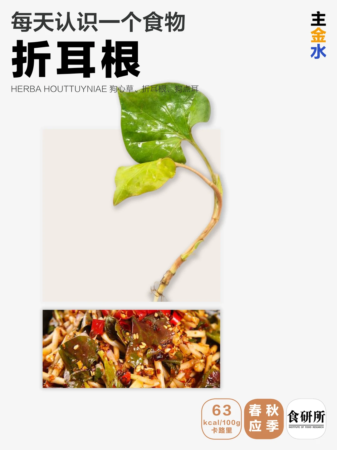 究竟是谁爱吃折耳根啊啊啊啊！