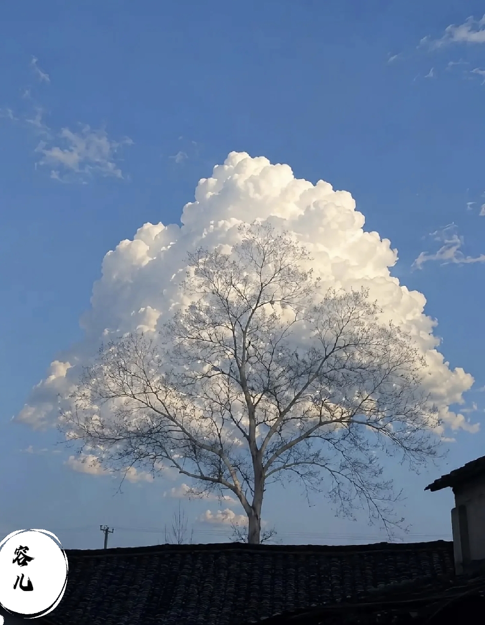 突然发现：
世界上最愚蠢的人，
就是跟别人讲道理，
位置不同，少言为贵，
认知不