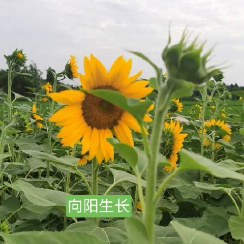 源月_123