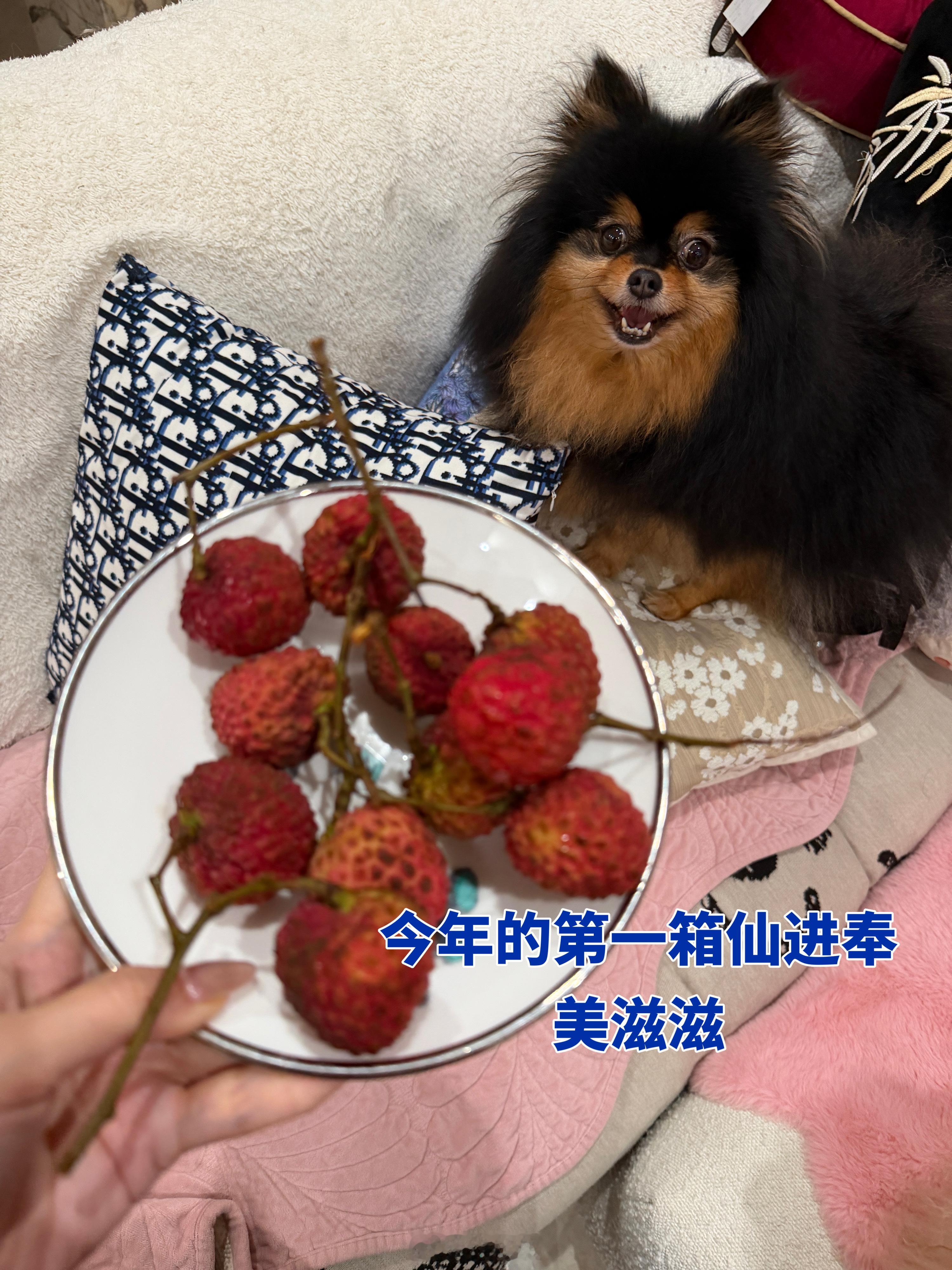 [超话] 在家看莫离 留着大鼻涕 嗦着米线🍜 ​​​