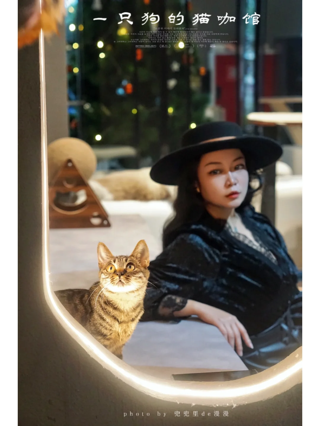 一只狗的猫咖馆｜有趣而治愈