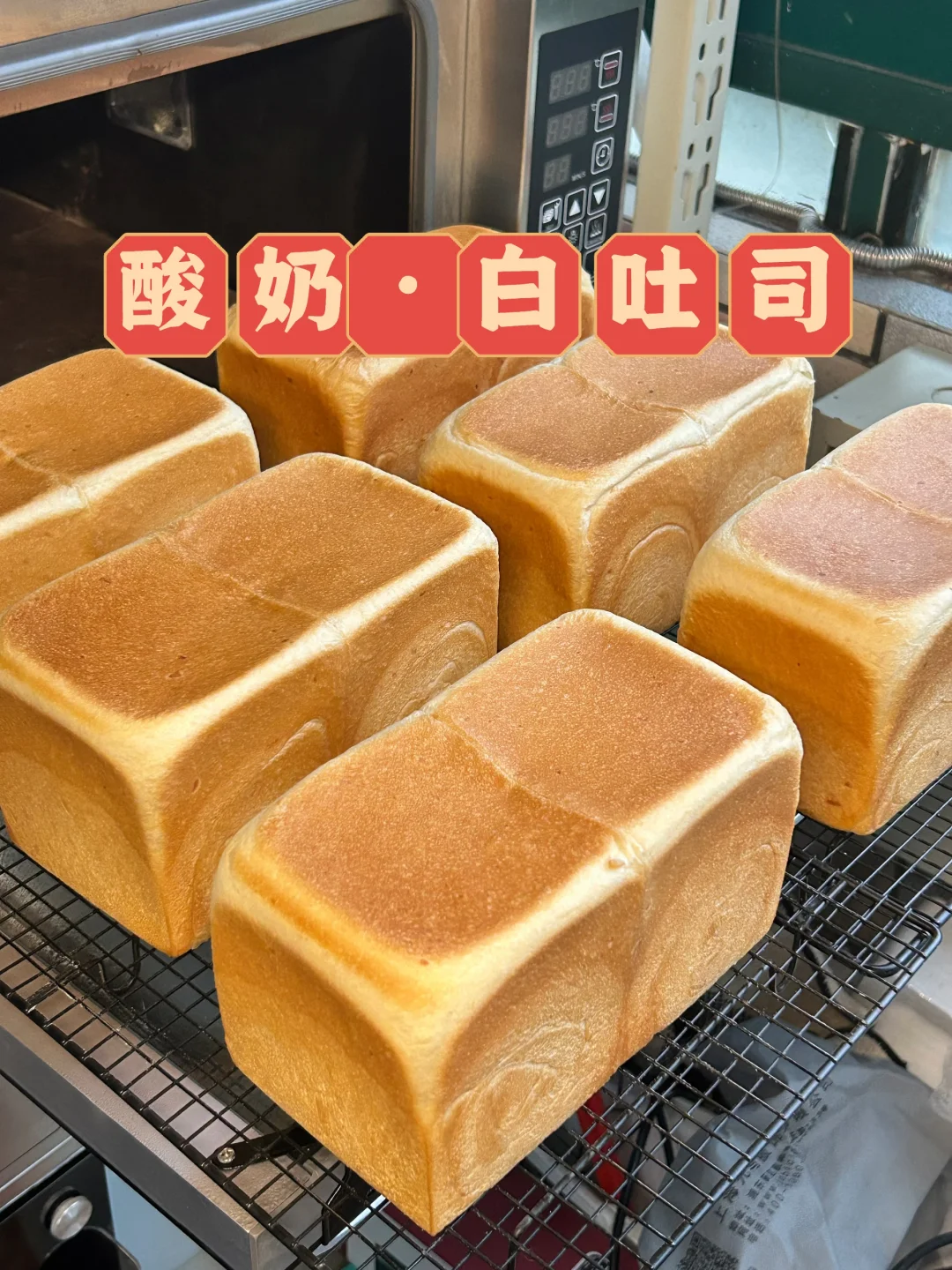 消耗花胶羹｜酸奶·庞多米·白吐司｜配方分享